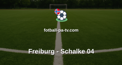 Bundesliga: Freiburg - Schalke 04