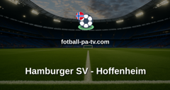 Bundesliga: Hamburger SV - Hoffenheim