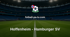 Bundesliga: Hoffenheim - Hamburger SV