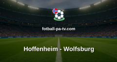 Bundesliga: Hoffenheim - Wolfsburg