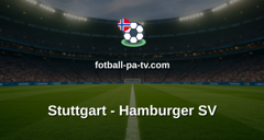 Bundesliga: Stuttgart - Hamburger SV