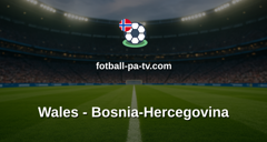 VM-kvalifisering: Wales - Bosnia-Hercegovina