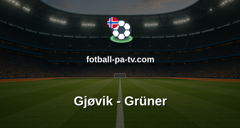 1. Divisjon Ishockey: Gjøvik - Grüner